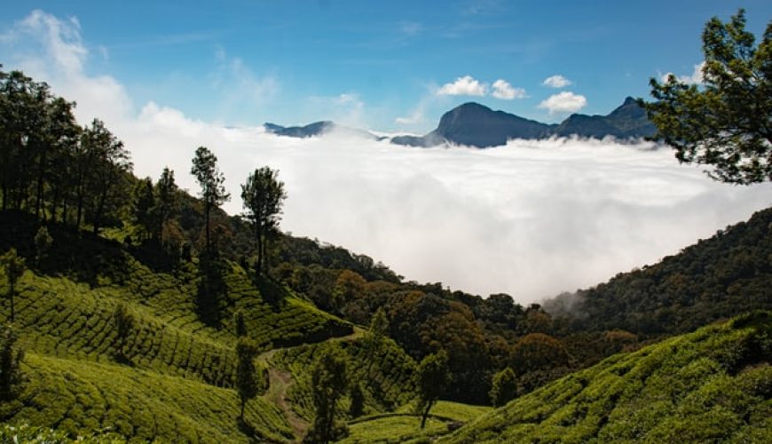 ASSAM